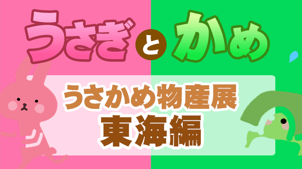 草彅やすとものうさぎとかめ 草彅剛 海原やすよともこ やすとも お取り寄せ 物産展 東海編